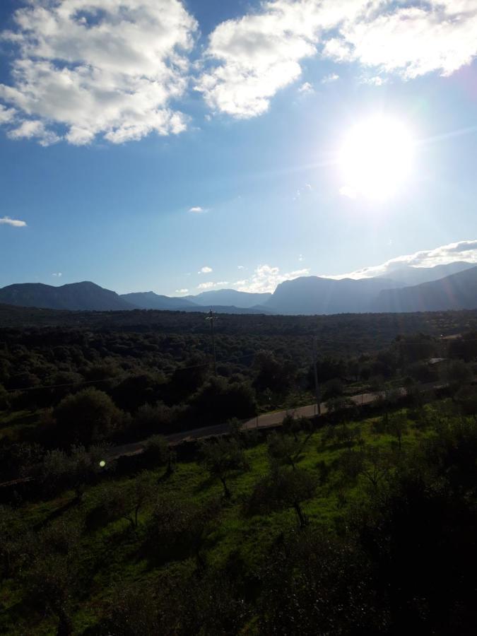 Casa Toloi Appartement Dorgali Buitenkant foto