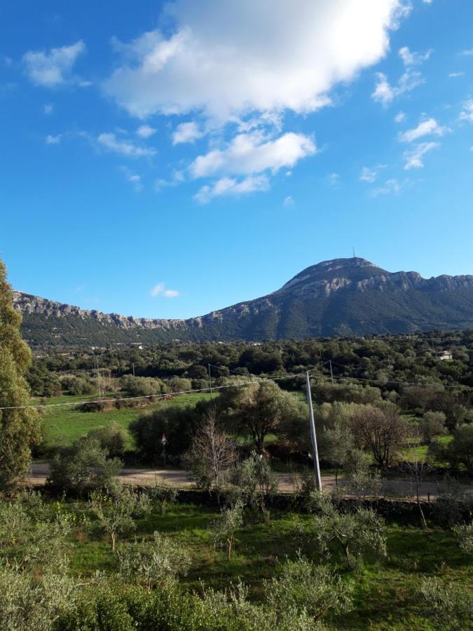 Casa Toloi Appartement Dorgali Buitenkant foto