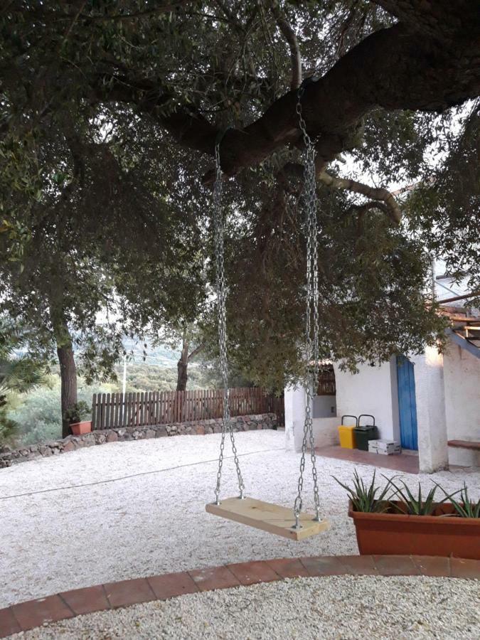 Casa Toloi Appartement Dorgali Buitenkant foto